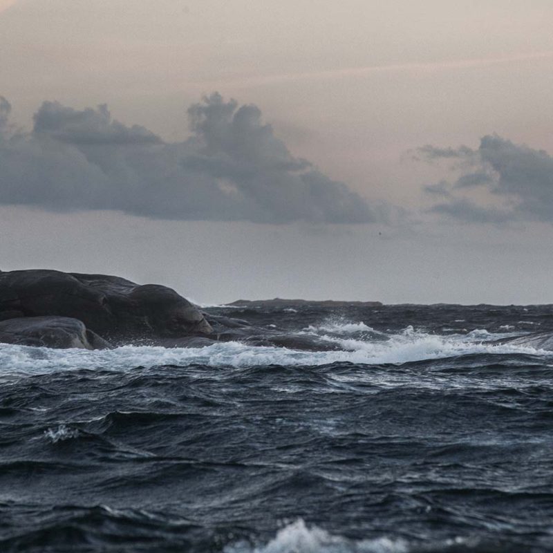 Äta vid Havet- Mat, Människor och Råvaror från Bohuslän Äta vid Havet- Mat, Människor och Råvaror från Bohuslän