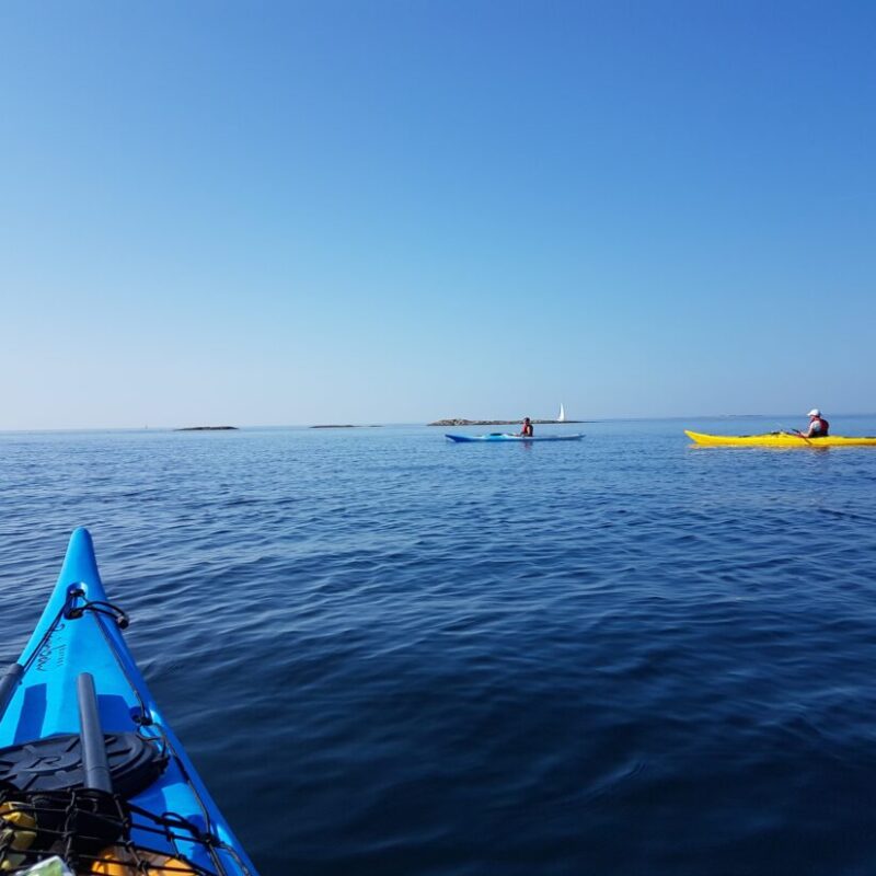 20190826_105436-1080x825