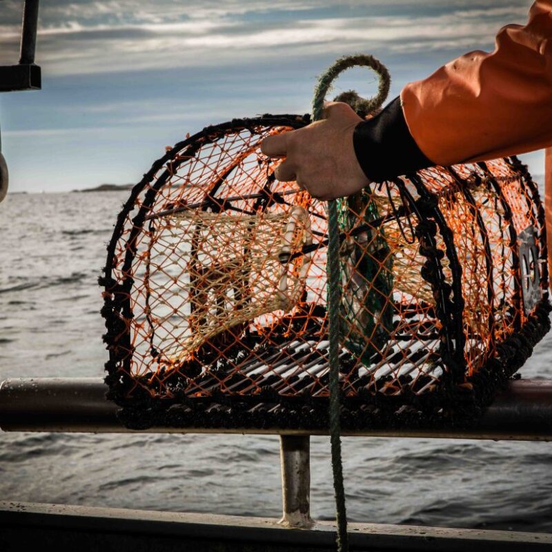 Hummerfiske-Brygghuset-181020-6-1080x825